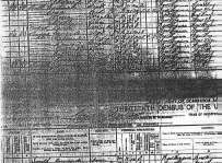 1910 Census